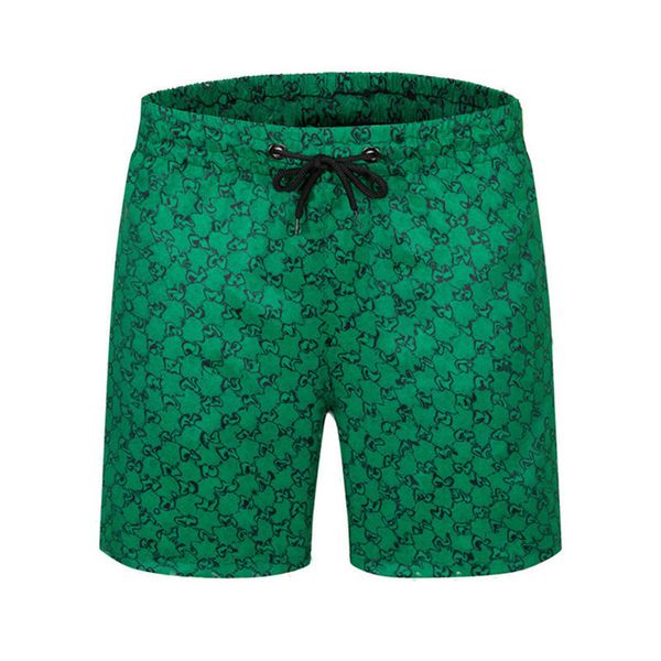 beach shorts letters mens designer swimwear summer polo swim sports swimwears surf sbermuda fashion quick dry basketball
beach shorts letters mens designer swimwear summer polo swim sports swimwears surf sbermuda fashion quick dry basketball