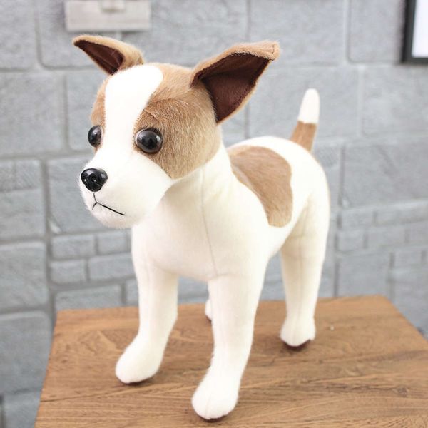 toy mink pet dog drs bullfight simulation chihuahua golden sand plush doll 3n8v
toy mink pet dog drs bullfight simulation chihuahua golden sand plush doll 3n8v