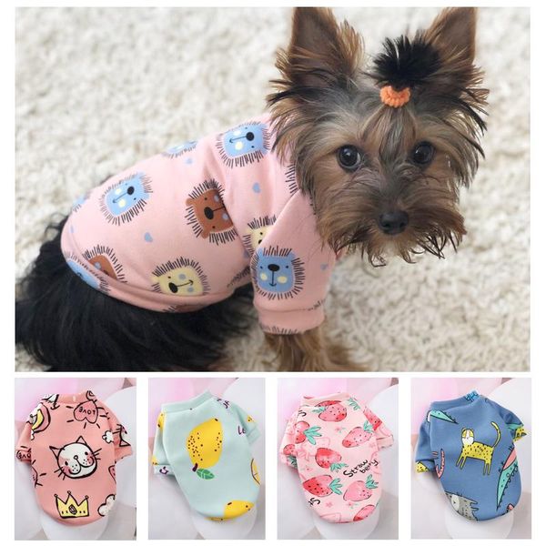dog apparel cute pattern small hoodie coat winter warm pet clothes for chihuahua shih tzu sweatshirt puppy cat pullover costume 20a
dog apparel cute pattern small hoodie coat winter warm pet clothes for chihuahua shih tzu sweatshirt puppy cat pullover costume 20a