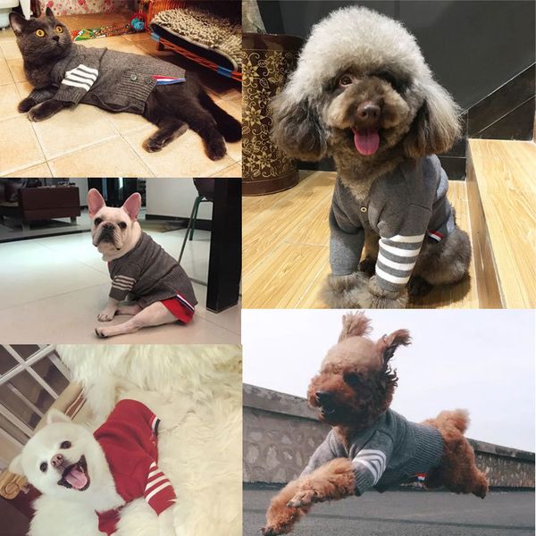 высокое качество pet свитер одежда для маленьких собак puppy cat вязание пуловера одежда чихуахуа зимней теплой куртки пальто пальто 201114
высокое качество pet свитер одежда для маленьких собак puppy cat вязание пуловера одежда чихуахуа зимней теплой куртки пальто пальто 201114