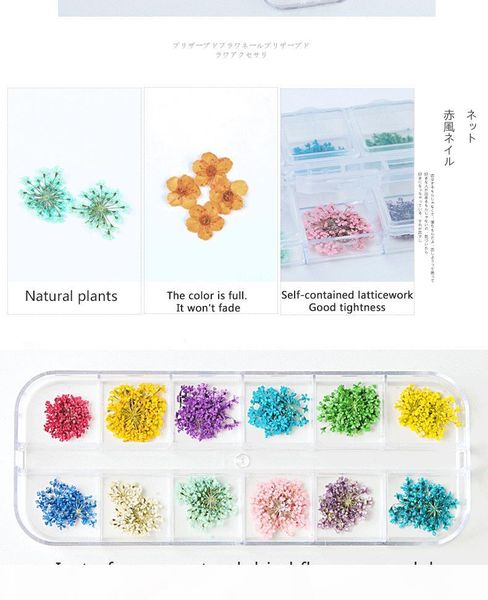 nail decoration for nail stickers real dried flower nail rhinestones natural floral sticker mixed dry flower decoration, Silver;gold
nail decoration for nail stickers real dried flower nail rhinestones natural floral sticker mixed dry flower decoration, Silver;gold
