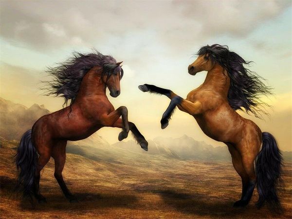 two horses home decor handpainted &hd print oil painting on canvas wall art canvas pictures 200
two horses home decor handpainted &hd print oil painting on canvas wall art canvas pictures 200