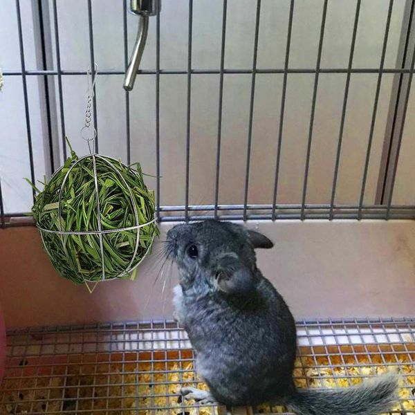 small pet rabbit toys stainless steel round sphere feed dispense exercise hanging hay ball hamster rabbit guinea pig sqchax
small pet rabbit toys stainless steel round sphere feed dispense exercise hanging hay ball hamster rabbit guinea pig sqchax