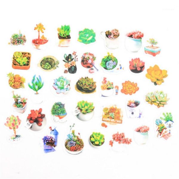 1pcs succulent kawaii cartoon sticker party favor for new birthday present for girl kids party supplies birthday favors1
1pcs succulent kawaii cartoon sticker party favor for new birthday present for girl kids party supplies birthday favors1