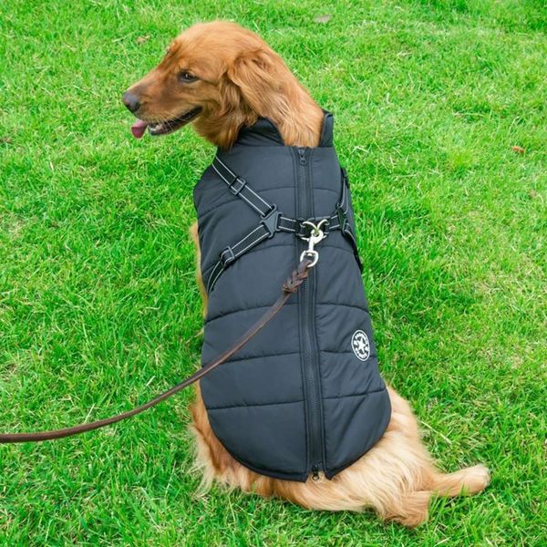 warm in autumn and winter large pet cotton padded golden fur big dog cloth assault suit
warm in autumn and winter large pet cotton padded golden fur big dog cloth assault suit