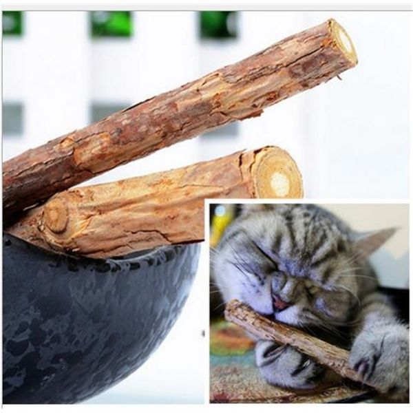 health teeth dental pets catnip sticks silvervine products wood toys snacks cats favor dhl free
health teeth dental pets catnip sticks silvervine products wood toys snacks cats favor dhl free
