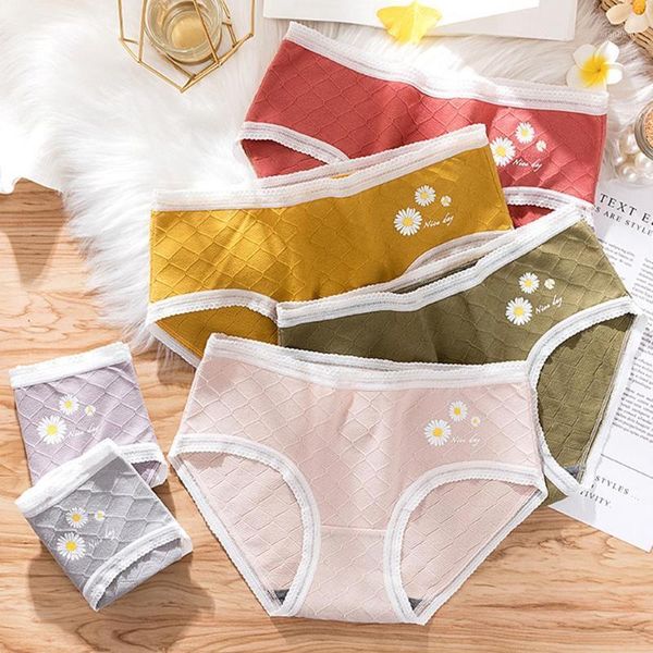 women's underwear comfortable seamless underpants marguerite lace hem mid waist solid color cotton panties girls briefs1, Black;pink
women's underwear comfortable seamless underpants marguerite lace hem mid waist solid color cotton panties girls briefs1, Black;pink