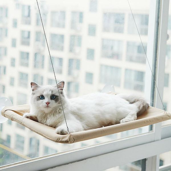 cat beds & furniture cute pet hanging comfortable bearing 20kg sunny window seat mount hammock bed shelf
cat beds & furniture cute pet hanging comfortable bearing 20kg sunny window seat mount hammock bed shelf