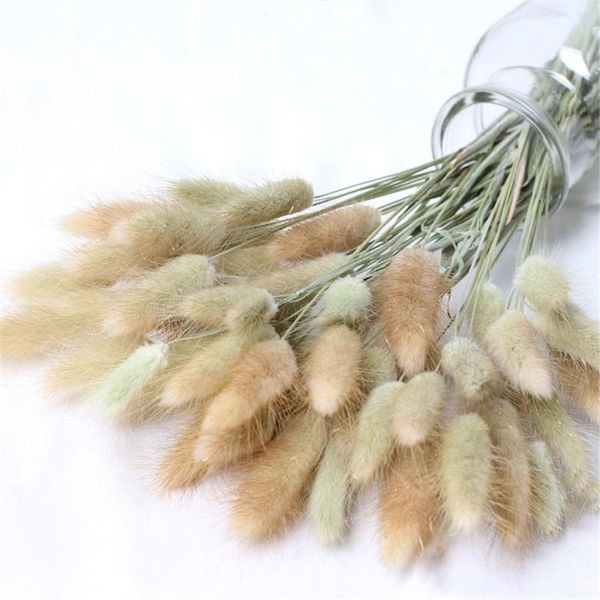 50 stems dried flower tail natural plants floral grass bouquet home decoration accessories pgraphy props flo
50 stems dried flower tail natural plants floral grass bouquet home decoration accessories pgraphy props flo