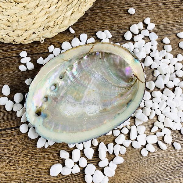 12 13cm large abalone shell natural seashell nautical home decor soap holder specimen beach wedding decor aquarium landscape h bbyrgz
12 13cm large abalone shell natural seashell nautical home decor soap holder specimen beach wedding decor aquarium landscape h bbyrgz