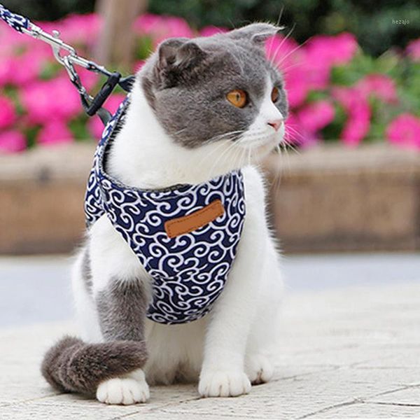 dog apparel pet cat harness vest collar outdoor walking leash set small and for outdoor1
dog apparel pet cat harness vest collar outdoor walking leash set small and for outdoor1