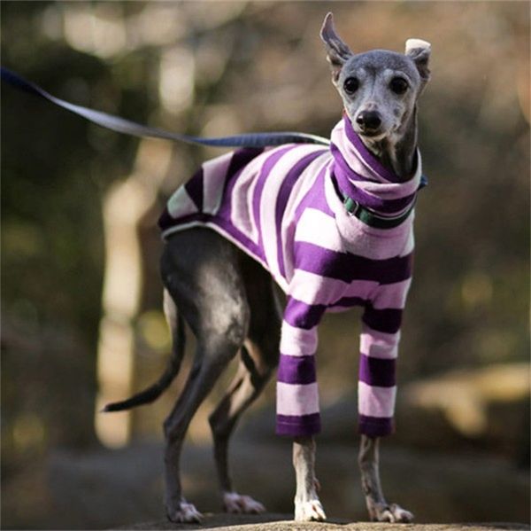 stripe high collar pets clothes personality pet dog accessories hound coats two long sleeves soft coat dogs supplies 23bya f2
stripe high collar pets clothes personality pet dog accessories hound coats two long sleeves soft coat dogs supplies 23bya f2