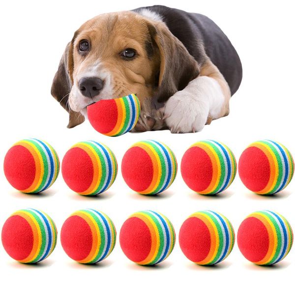 10pc/lot mini small dog toys for pets dogs chew ball puppy dog ball for pet toy puppies tennis toy pet products
10pc/lot mini small dog toys for pets dogs chew ball puppy dog ball for pet toy puppies tennis toy pet products