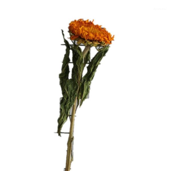 2pcs natural original dried sunflowers real teddy home wedding diy decor flowers1 decorative flowers & wreaths
2pcs natural original dried sunflowers real teddy home wedding diy decor flowers1 decorative flowers & wreaths
