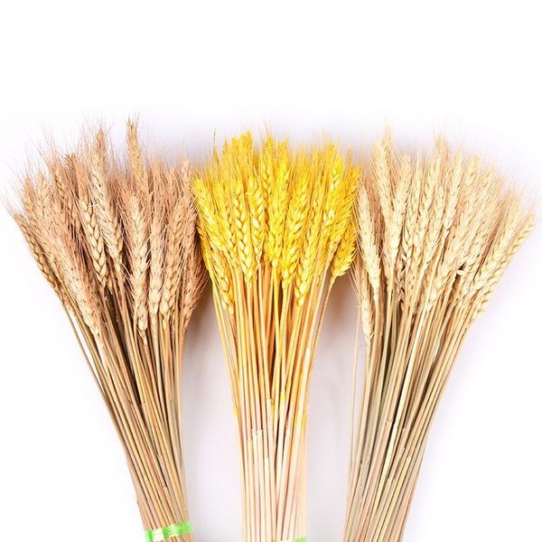 50pcs/lot natural dried flower wheat ears bouquet for wedding party decoration diy craft home decor scrapbook wheat bran jllejx
50pcs/lot natural dried flower wheat ears bouquet for wedding party decoration diy craft home decor scrapbook wheat bran jllejx