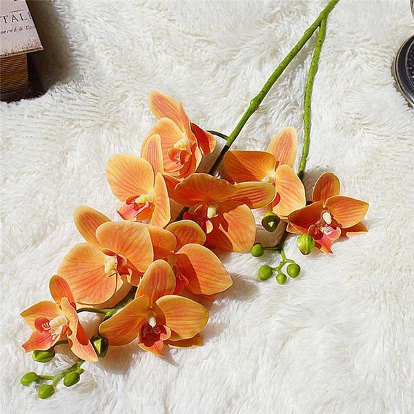 2 forks 3d butterfly orchid artificial flower simulation silk real touch flower home decor wedding decoration accessories1
2 forks 3d butterfly orchid artificial flower simulation silk real touch flower home decor wedding decoration accessories1