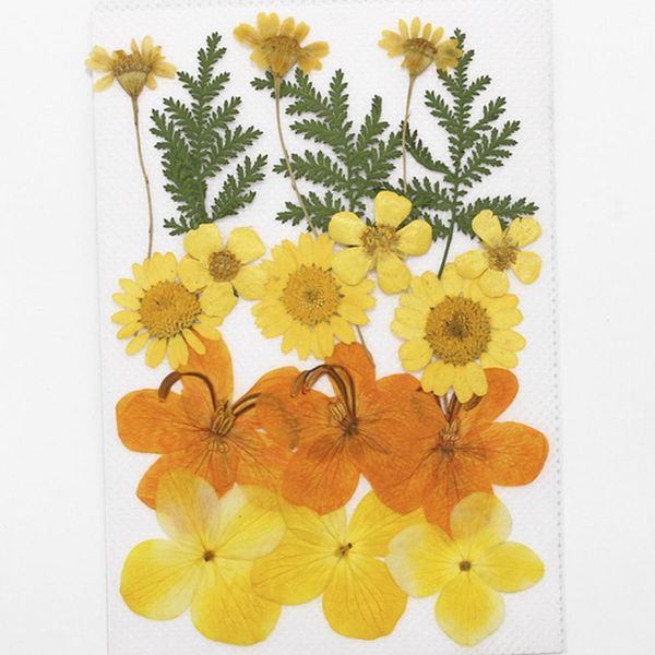 1bag dried flowers uv resin decorative natural floral flower stickers 3d beauty nail art decals epoxy mold diy filling jewelry h jllcxz
1bag dried flowers uv resin decorative natural floral flower stickers 3d beauty nail art decals epoxy mold diy filling jewelry h jllcxz