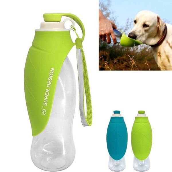 580ml sport portable pet dog water bottle expandable sile travel dog bowl for puppy cat drinking outdoor water d bbyfyg
580ml sport portable pet dog water bottle expandable sile travel dog bowl for puppy cat drinking outdoor water d bbyfyg