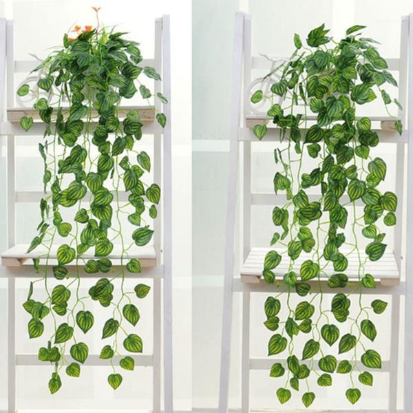 decorative flowers & wreaths family green plant decoration parthenocissus tricuspidata /begonia /green currant /watermelon leaf wall hanging
decorative flowers & wreaths family green plant decoration parthenocissus tricuspidata /begonia /green currant /watermelon leaf wall hanging