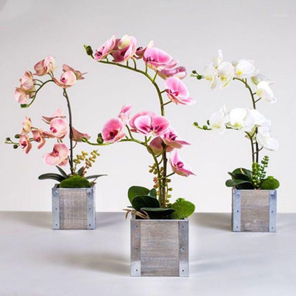 decorative flowers & wreaths 70cm artificial phalaenopsis real like flower wedding decoration floral christmas party home decor1
decorative flowers & wreaths 70cm artificial phalaenopsis real like flower wedding decoration floral christmas party home decor1