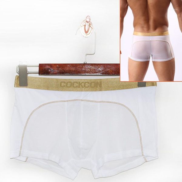 cockcon mens transparent boxers underwear men pouch see through thin panties low waist underpants male mesh breathable1, Black;white
cockcon mens transparent boxers underwear men pouch see through thin panties low waist underpants male mesh breathable1, Black;white