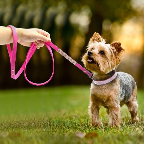 fashion rhinestone dog leash pet bling shiny cat puppy walking leashes lead for small dogs cats chihuahau yorkshire ted bbyawk
fashion rhinestone dog leash pet bling shiny cat puppy walking leashes lead for small dogs cats chihuahau yorkshire ted bbyawk