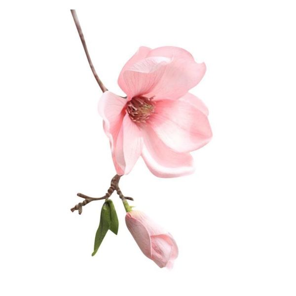 wedding decoration silk flowers for a wedding artificial flowers home decoration artificia jllqqa sport77777
wedding decoration silk flowers for a wedding artificial flowers home decoration artificia jllqqa sport77777