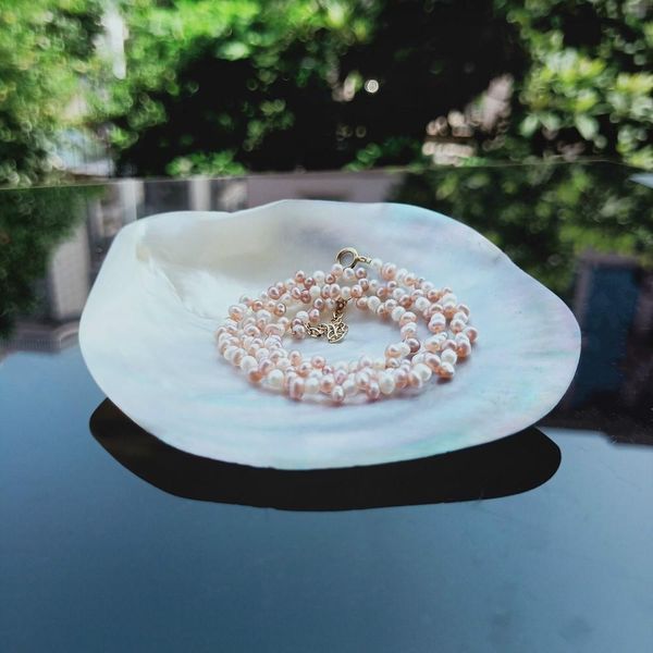 natural seashells black butterfly shell jewelry diy shell nautical beach decor scallop specimen restaurant caviar seasoning tray h jllmbi
natural seashells black butterfly shell jewelry diy shell nautical beach decor scallop specimen restaurant caviar seasoning tray h jllmbi