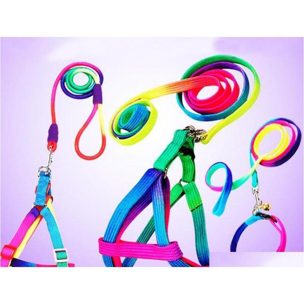 colorful rainbow pet dog collar harness leash soft walking harness lead colorful and durable traction rope nylon 120cm c756 v0g40
colorful rainbow pet dog collar harness leash soft walking harness lead colorful and durable traction rope nylon 120cm c756 v0g40