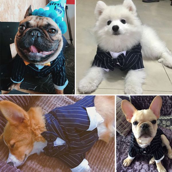 dog teddy drs french combat suit bago bulldog four legged pet autumn winter cloth
dog teddy drs french combat suit bago bulldog four legged pet autumn winter cloth