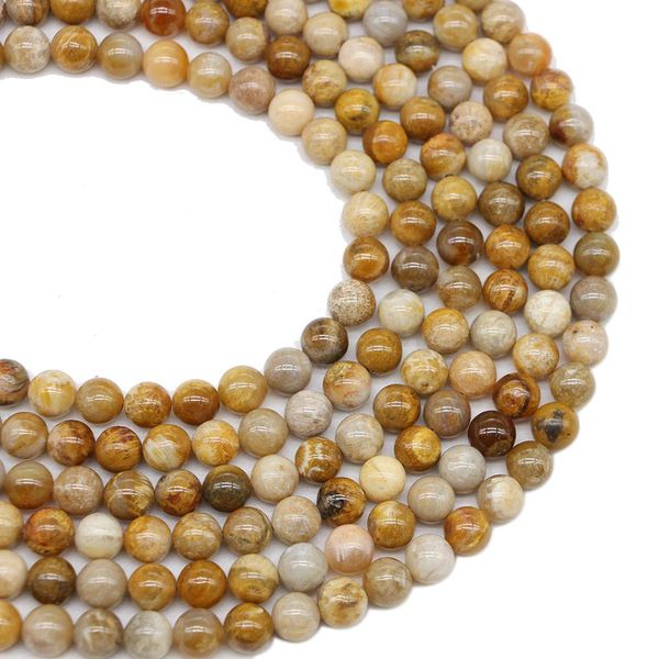 1strand lot natural chrysanthemum stone coral fossils bead round loose spacer beads for jewelry making findings diy bracelet h wmtpib
1strand lot natural chrysanthemum stone coral fossils bead round loose spacer beads for jewelry making findings diy bracelet h wmtpib