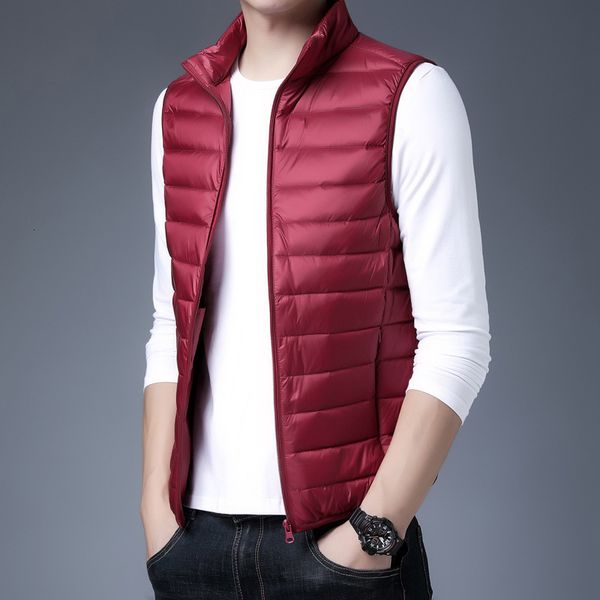 2020 winter new casual sleeveless lightweight down jaet men's warm vest, Black
2020 winter new casual sleeveless lightweight down jaet men's warm vest, Black