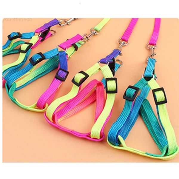 pet harness adjustable leash colorful small nylon puppy lead leashes walk out hand strap vest collar for dog cat rabbit
pet harness adjustable leash colorful small nylon puppy lead leashes walk out hand strap vest collar for dog cat rabbit