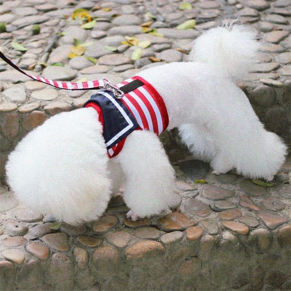 dog leash pet chest harness traction rope dog chain small puppy collar dogs cats rope collar leash pets accessories
dog leash pet chest harness traction rope dog chain small puppy collar dogs cats rope collar leash pets accessories