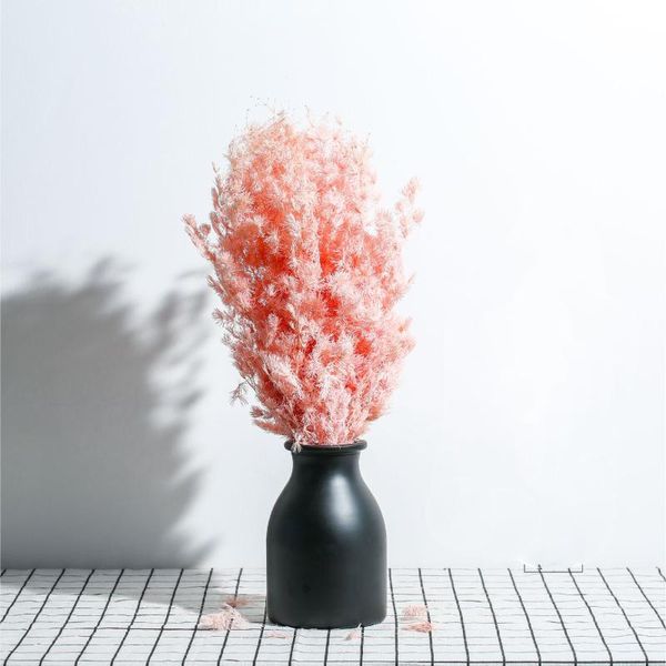 home 40-60cm natural dried fleur eternelle plant asparagus myriocladus,preserved flowers penglai pine for christmas decorations
home 40-60cm natural dried fleur eternelle plant asparagus myriocladus,preserved flowers penglai pine for christmas decorations