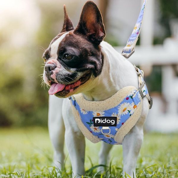 soft padded pet dog harness clothes printed no pull chihuahua puppy cat harness vest leash for small medium dogs cloth bbygpb
soft padded pet dog harness clothes printed no pull chihuahua puppy cat harness vest leash for small medium dogs cloth bbygpb