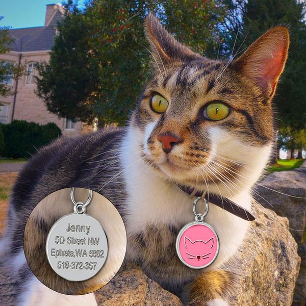 dog accessories custom personalized pet dog cat tags engraved dogs pets accessories for small puppy cat bone paw pet wmtkff
dog accessories custom personalized pet dog cat tags engraved dogs pets accessories for small puppy cat bone paw pet wmtkff