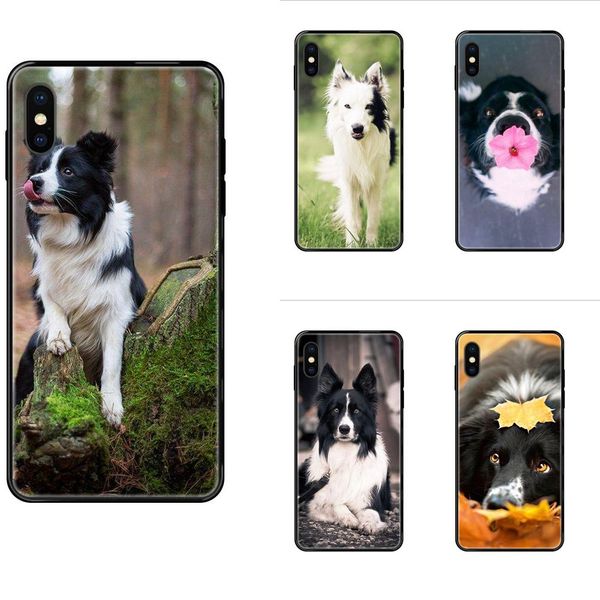 tpu soft phone cover case border collie dog breed detailed popular for iphone 11 12 pro 5 5s se 5c 6 6s 7 8 x xr xs plus max
tpu soft phone cover case border collie dog breed detailed popular for iphone 11 12 pro 5 5s se 5c 6 6s 7 8 x xr xs plus max