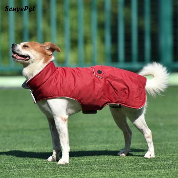clothes warm windproof winter vest for small medium dog outdoor puppy cat clothing pet jacket
clothes warm windproof winter vest for small medium dog outdoor puppy cat clothing pet jacket