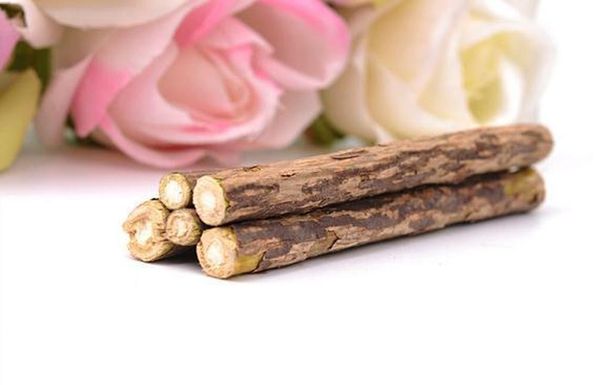 natural chiscat pet cat molar toothpaste chew stick matatabi cat snacks sticks cat cleaning teeth treat t bbywxe yh_pack
natural chiscat pet cat molar toothpaste chew stick matatabi cat snacks sticks cat cleaning teeth treat t bbywxe yh_pack