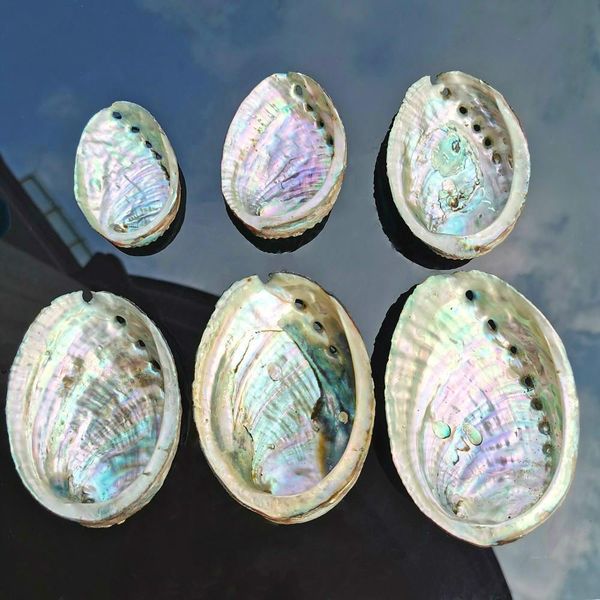 5 размеры abalone shell nautical decor seashell beach свадебные раковины океанский декор ювелирные изделия diy shell soap blue aquarium home
5 размеры abalone shell nautical decor seashell beach свадебные раковины океанский декор ювелирные изделия diy shell soap blue aquarium home