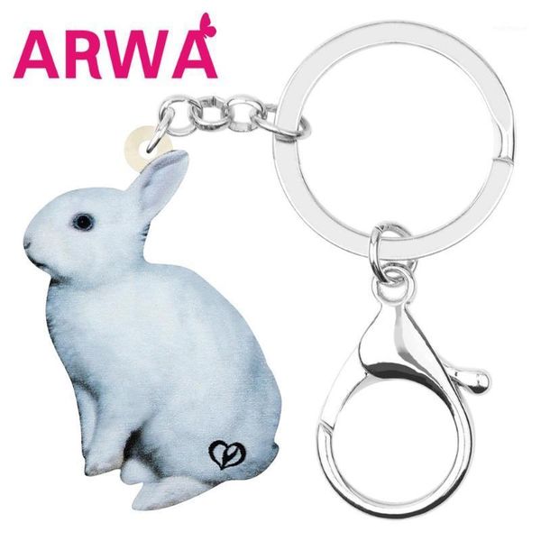keychains arwa acrylic easter hare key chain holder lovely animal jewelry for women girls car wallet classic gifts1, Silver
keychains arwa acrylic easter hare key chain holder lovely animal jewelry for women girls car wallet classic gifts1, Silver