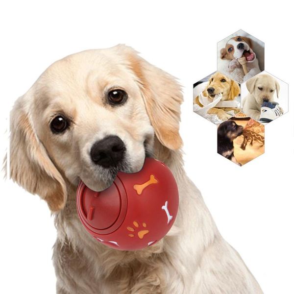 3 size pet dog toys supply rubber ball educational interactive puppy chew toys for dog treats dispenser dog accessories 35 wmtuya xhhair
3 size pet dog toys supply rubber ball educational interactive puppy chew toys for dog treats dispenser dog accessories 35 wmtuya xhhair