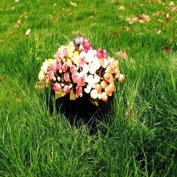decorative flowers & wreaths artificial simulation rose silk flower small potted arrangement materials wedding decoration
decorative flowers & wreaths artificial simulation rose silk flower small potted arrangement materials wedding decoration