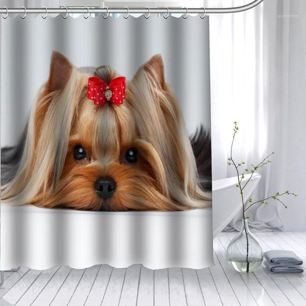 shower curtains shunqian yorkshire terrier dog curtain polyester fabric 12 hooks for the bathroom waterproof mildew funny bath curtain1
shower curtains shunqian yorkshire terrier dog curtain polyester fabric 12 hooks for the bathroom waterproof mildew funny bath curtain1