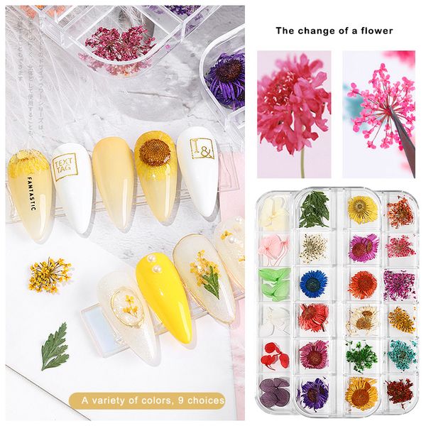 mixed real dried flowers nail art decorated sunflower natural floral decals manicure nails tip dry flower diy accessories f730, Black
mixed real dried flowers nail art decorated sunflower natural floral decals manicure nails tip dry flower diy accessories f730, Black