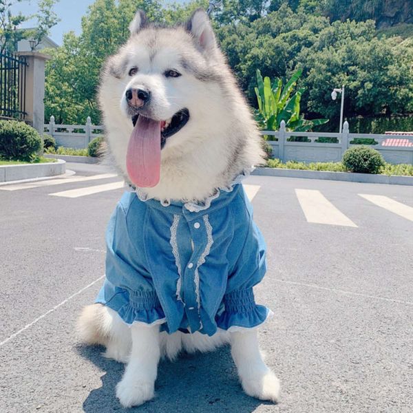 tlb court jeans pet parent child teddy cat bullfight golden hair alaerha spring and autumn two legged suit
tlb court jeans pet parent child teddy cat bullfight golden hair alaerha spring and autumn two legged suit