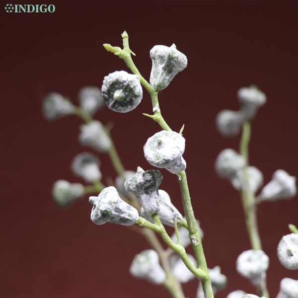 - eucalyptus berry modern space display artificial plant wedding flower christmas party interior decoration decorative flowers & wreaths
- eucalyptus berry modern space display artificial plant wedding flower christmas party interior decoration decorative flowers & wreaths