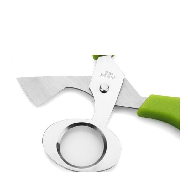 stainless steel pigeon quail egg shells scissors bird cutter opener egg slicers cigar cutter kitchen too jllpau xhhair
stainless steel pigeon quail egg shells scissors bird cutter opener egg slicers cigar cutter kitchen too jllpau xhhair