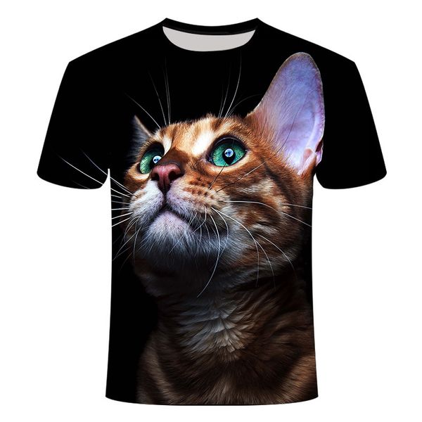 new cool printing two cat summer t-shirt printing t-sh 3d print shirts kawaii kawaii harajuku men clothing
new cool printing two cat summer t-shirt printing t-sh 3d print shirts kawaii kawaii harajuku men clothing